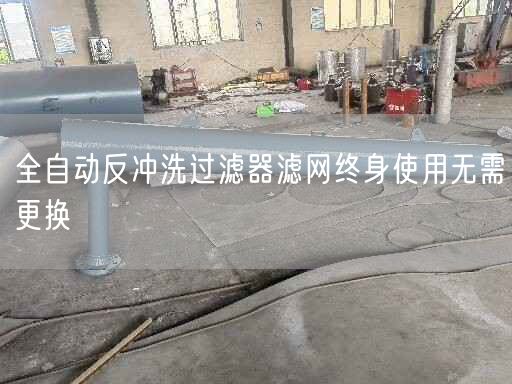 全自動反沖洗過濾器濾網終身遙遙無需更換